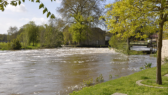 SÈVRE NANTAISE ET VIADUC DE BARBIN