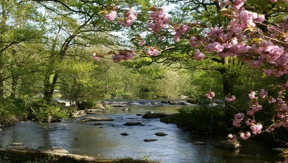 SÈVRE NANTAISE ET VIADUC DE BARBIN