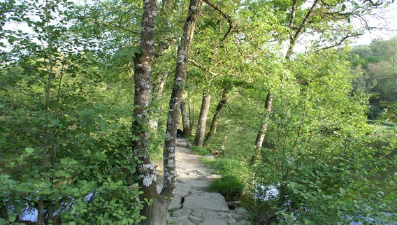SÈVRE NANTAISE ET VIADUC DE BARBIN