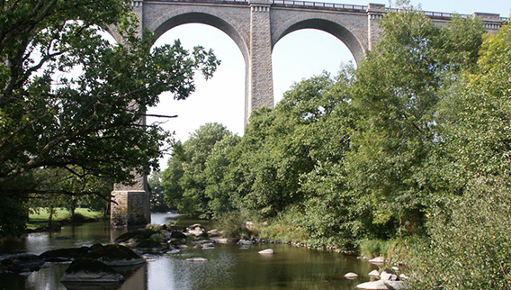 Sur les pas de Monfort Saint Laurent sur Sèvre 85